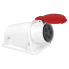 Schneider Electric - Socle prise BT saille inclinée, connexion vis, IP44, 16 A 3P+N+T 380-415 V