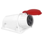 Schneider Electric - Socle prise BT saille inclinée, connexion vis, IP44, 32 A 3P+T 380-415 V