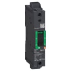 Schneider Electric - PowerPact B - disjoncteur BG - 35kA 347V - TM110D - 1P - Everlink