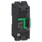 Schneider Electric - PowerPact B - disjoncteur BJ - 65kA 600Y/347V - TM25D - 2P - Everlink