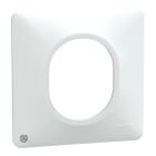 Schneider Electric - Ovalis - Plaque de finition - 1 poste Antibactérien