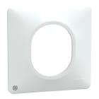 Schneider Electric - Ovalis - Plaque de finition - 1 poste Antibactérien