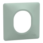 Schneider Electric - Ovalis - plaque de finition - 1 poste - sauge