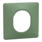 Schneider Electric - Ovalis - plaque de finition - 1 poste - vert forêt