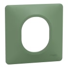 Schneider Electric - Ovalis - plaque de finition - 1 poste - vert foret