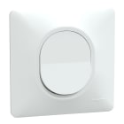 Schneider Electric - Ovalis - bouton poussoir à fermeture - 10AX - Blanc - griffes montées - plaque