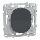 Schneider Electric - Ovalis - interrupteur permutateur - 10AX - Anthracite