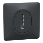 Schneider Electric - Ovalis - Prise téléphone en T - 8 contacts - avec plaque - Anthracite
