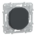 Schneider Electric - Ovalis - obturateur - Anthracite
