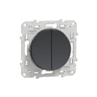 Schneider Electric - Odace 2011 - double poussoir anthracite