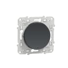 Schneider Electric - Odace 2011 - va-et-vient lumineux ou témoin - anthr- 10A - LED orange 1,5mA