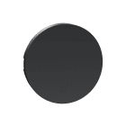 Schneider Electric - Odace 2011 - enjoliveur seul va-et-vient et poussoir - anthracite