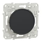 Schneider Electric - Odace 2011 - Obturateur - anthracite - fixation par vis