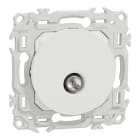 Schneider Electric - Odace - prise TV simple mâle - sortie coaxiale - blanc craie
