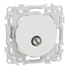 Schneider Electric - Odace - prise TV simple mâle avec griffes - blanc craie