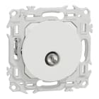 Schneider Electric - Odace - prise TV simple mâle avec griffes - blanc craie