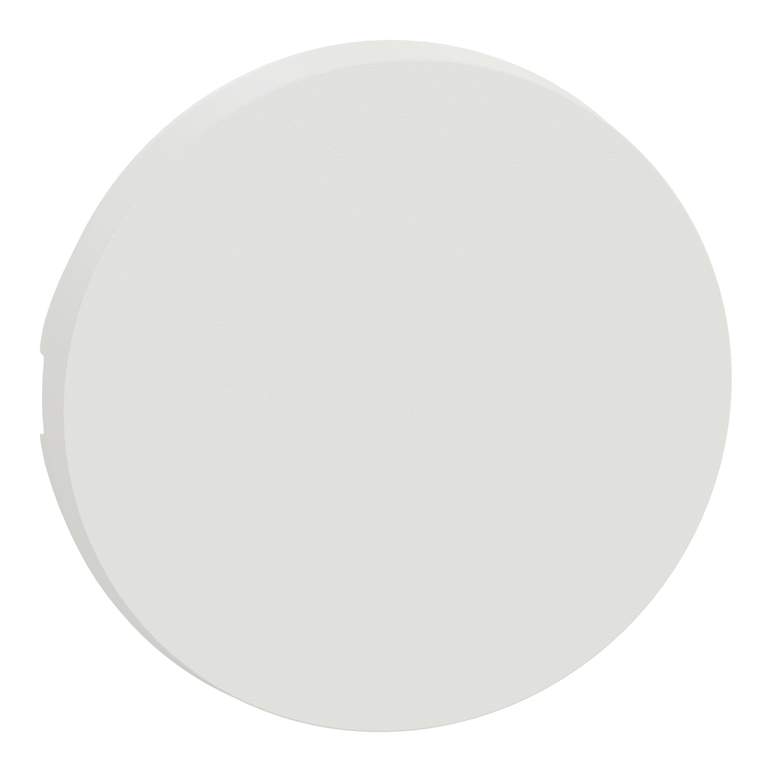 Schneider Electric - Reconditionné - Odace - enjoliveur seul - pour VV ou poussoir - blanc craie