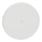 Schneider Electric - Odace - enjoliveur seul à voyant - pour va-et-vient ou poussoir - blanc craie