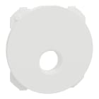 Schneider Electric - Odace - enjoliveur seul - pour prise TV - blanc craie