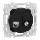 Schneider Electric - Odace - prise mixte RJ45 Cat.6 STP + TV - noir onyx