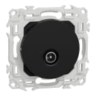 Schneider Electric - Odace - prise TV simple mâle - sortie coaxiale - noir onyx