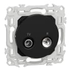 Schneider Electric - Odace - prise TV/FM - sorties coaxiales - noir onyx