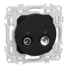 Schneider Electric - Odace - prise TV/FM - sorties coaxiales - noir onyx