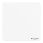 Schneider Electric - Easylogic Capteur de temp amb blanc thermistance 10K couvercle vierge