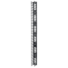 Schneider Electric - NetShelter - Gestionnaire de câbles vertical - Rack NetShelter SX - 42U - Qté 2
