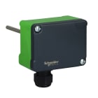 Schneider Electric - Transmetteur température à immersion 0/160°C L=100mm signaL 4..20mA