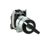 Schneider Electric - Harmony XB4 - bouton à clé 455 - Ø22 - 2 pos à rap. - retr G - 1F - vis étrier