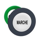 Schneider Electric - Harmony XB5 - tête bouton poussoir à impulsion - flush - marqué - blanc