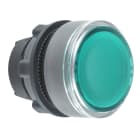 Schneider Electric - Harmony XB5 - tête de bouton poussoir lumin - Ø22 - col grise - pour étiq - vert