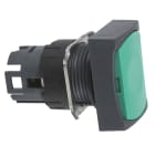 Schneider Electric - Harmony ZB6 - tête rectangulaire pour bouton-poussoir - Ø16mm - vert