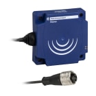 Telemecanique Sensors France - XS détecteur inductif plast - 80x80x26mm noyable app Sn60mm AC/DC NO - 1/2p20UNF