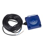 Telemecanique Sensors France - OsiSense XS9 - détecteur inductif - 80x80 - L26mm - PBT - Sn 40mm - câble 2m