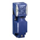 Telemecanique Sensors France - XS détecteur inductif plast - 40x40x117mm non noya Sn25mm Analog 4/20mA - PG13,5