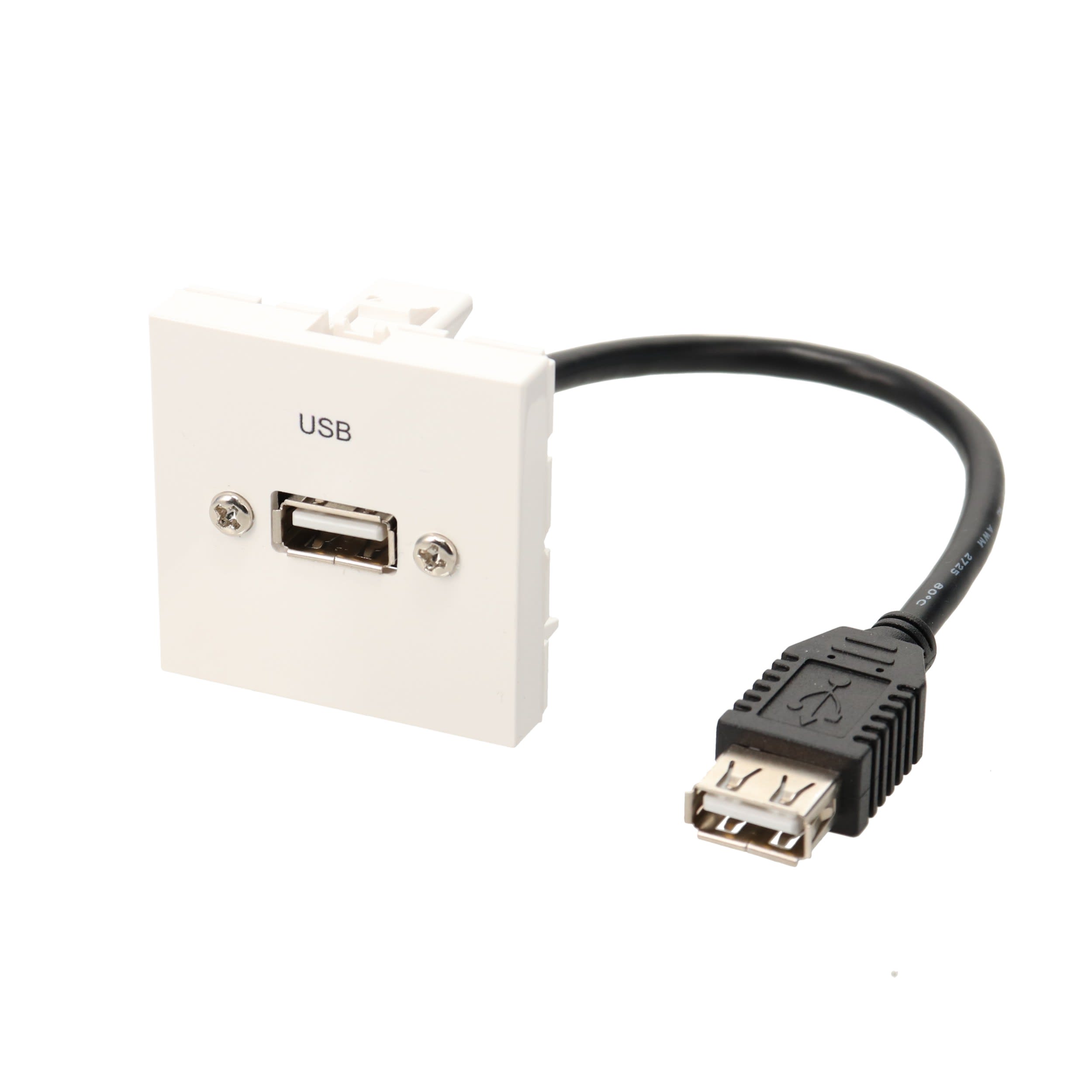 Erard - Plastron câblé 2 modules - USB-A 2.0 -45x45mm- 0m20 - blanc