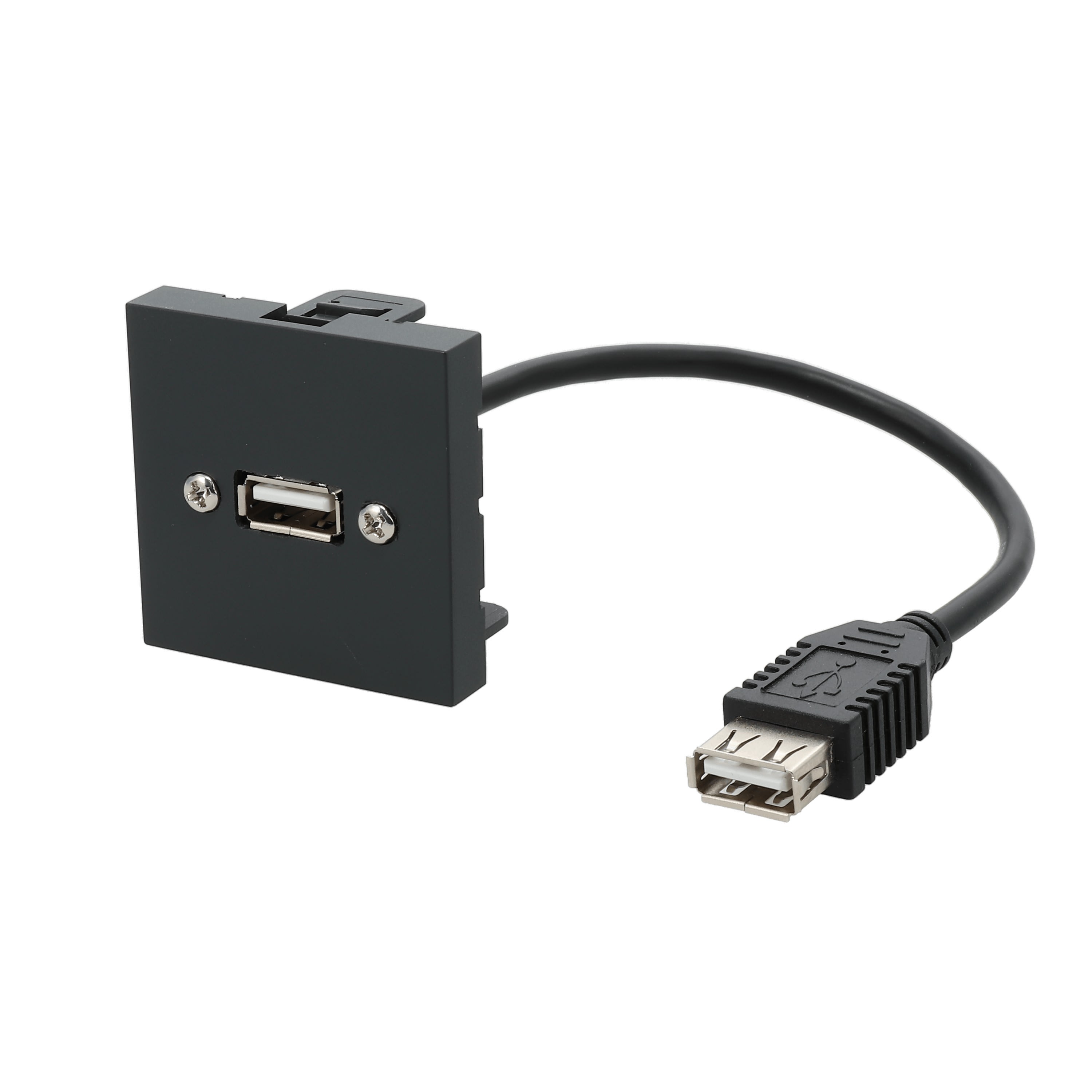 Erard - Plastron câblé 2 modules - USB-A 2.0 - 45x45mm- 0m20 - anthracite