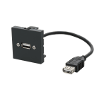Erard - Plastron câblé 2 modules - USB-A 2.0 - 45x45mm- 0m20 - anthracite