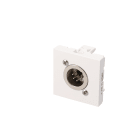 Erard - Plastron 2 modules XLR 5b M - à souder - obturateur LEGRAND - 45x45 mm - blanc