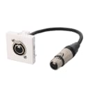 Erard - Plastron câblé 2 modules XLR 5b - F/F - obturateur LEGRAND 45x45 mm 0m20 blanc