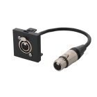 Erard - Plastron câblé 2 modules XLR 5b - F/F - 45x45 mm - 0m20 - anthracite