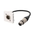Erard - Plastron câblé 2 modules XLR 5b - M/F - obturateur LEGRAND 45x45 mm 0m20 blanc