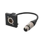 Erard - Plastron câblé 2 modules XLR 5b - M/F - 45x45 mm - 0m20 - anthracite