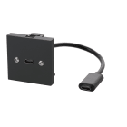 Erard - Plastron câblé 2 modules USB C 3.2 GEN2 - F/F - 45x45 mm - 0m20 - anthracite