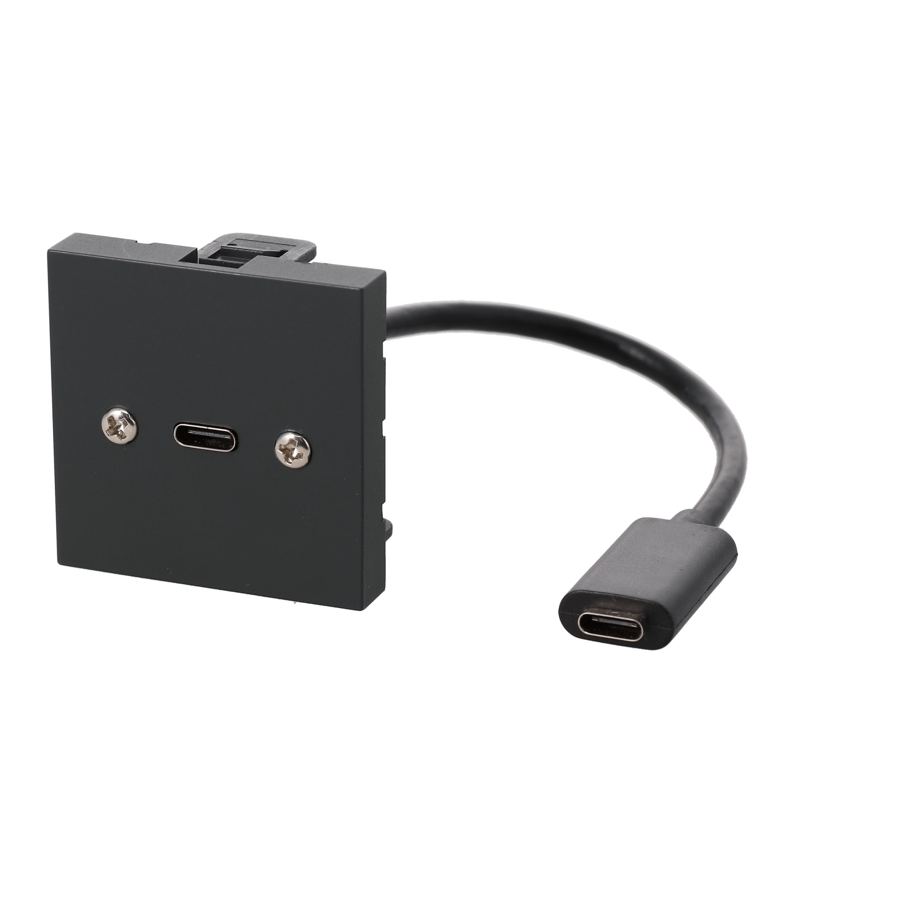 Erard - Plastron câblé 2 modules USB C 3.2 GEN1 - F/F- 45x45 mm - 0m20 - anthracite