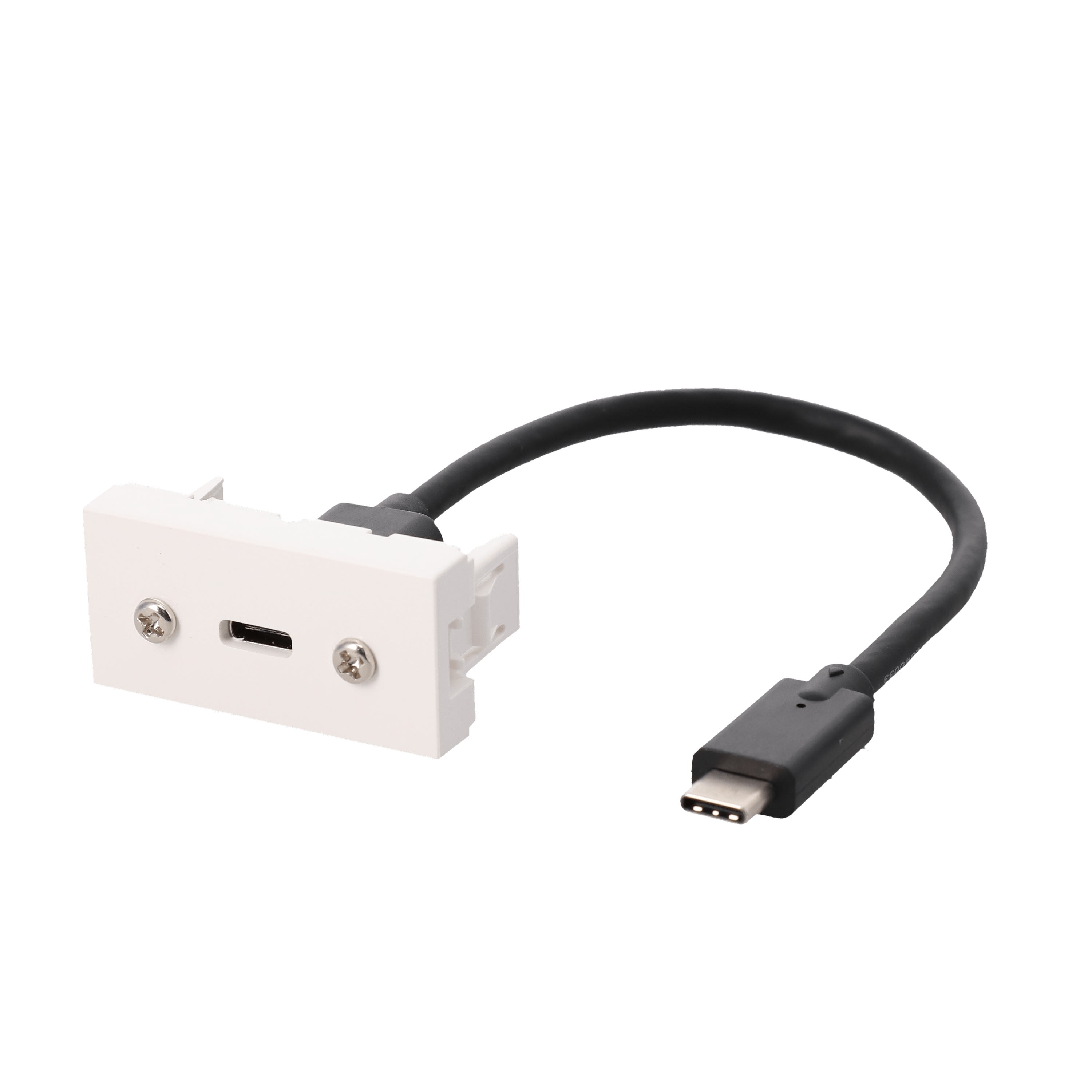 Erard - Plastron câblé 1 module USB C 3.2 GEN2 - F/M   0m20 - blanc