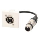 Erard - Plastron câblé 2 modules XLR 3b + raccord F - obturateur LEGRAND -  0m20