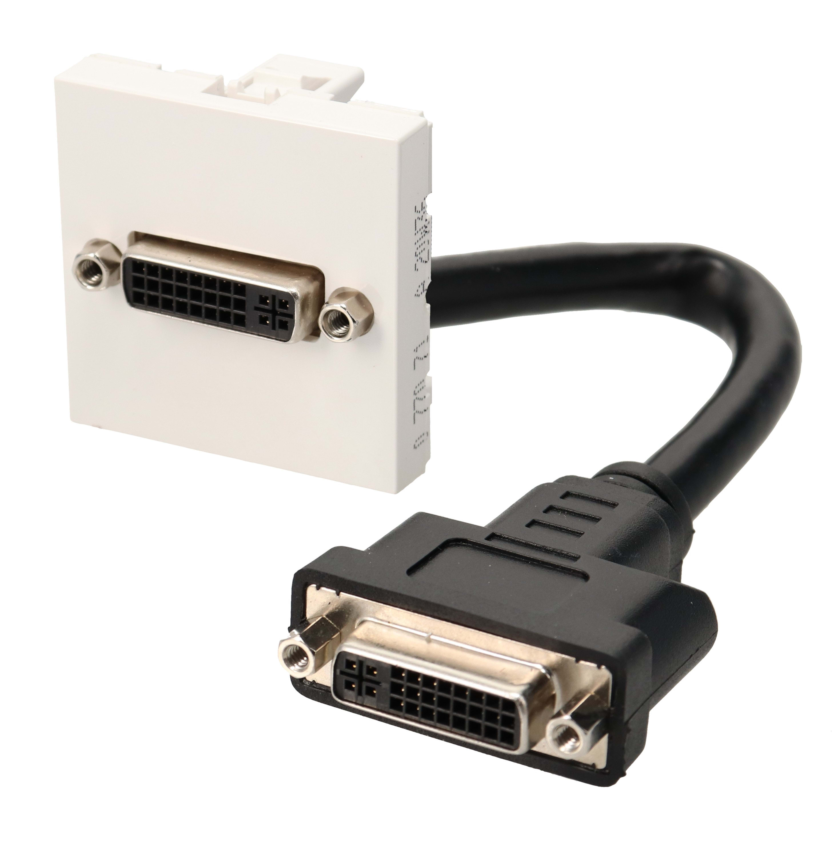 Erard - Plastron câblé 2 modules DVI-I 29b + raccord F - obturateur LEGRAND - 0m20